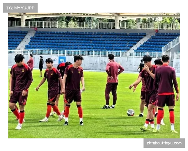 越南队归化球员熊猫杯表现 引发球探关注